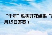 “千年”铁树开花结果“果”能生食吗（蚂蚁新村小课堂11月15日答案）