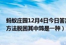 蚂蚁庄园12月4日今日答案大全（成语饮鸩止渴形容用错误方法脱困其中鸩是一种）