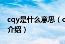 cqy是什么意思（cdxcby等qq空间专用名词介绍）