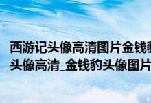 西游记头像高清图片金钱豹（金钱豹头像高清西游记_金钱豹头像高清_金钱豹头像图片）