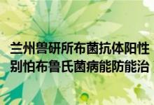 兰州兽研所布菌抗体阳性（兰州兽研所布病确认阳性3245人别怕布鲁氏菌病能防能治）