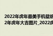 2022年虎年最美手机壁纸超清（2022年虎年大吉壁纸_2022年虎年大吉图片_2022虎年手机壁纸）