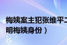 梅姨案主犯张维平二审维持死刑（目前尚未查明梅姨身份）