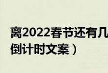 离2022春节还有几天文案（距离2022年春节倒计时文案）