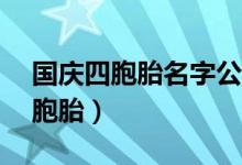 国庆四胞胎名字公布（90后妈妈诞下国庆四胞胎）