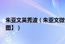 朱亚文吴秀波（朱亚文微博小号灯影桥公开diss吴秀波【截图】）