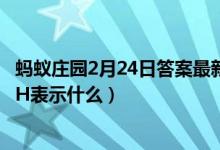 蚂蚁庄园2月24日答案最新（铅笔上经常标有字母H或B其中H表示什么）