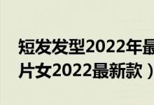 短发发型2022年最新款女图片（减龄短发图片女2022最新款）