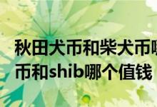 秋田犬币和柴犬币哪个好（区别是什么 Akita币和shib哪个值钱）