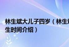 林生斌大儿子四岁（林生斌大儿子烁烁现状 林生斌大儿子出生时间介绍）