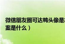 微信朋友圈可达鸭头像是怎么回事（微信可达鸭头像题目答案是什么）