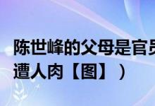 陈世峰的父母是官员吗（陈世峰家庭背景资料遭人肉【图】）