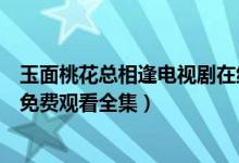 玉面桃花总相逢电视剧在线看地址（玉面桃花总相逢电视剧免费观看全集）