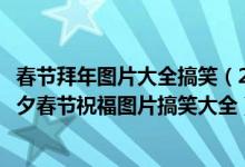 春节拜年图片大全搞笑（2022拜年表情包动态图片可爱！除夕春节祝福图片搞笑大全）