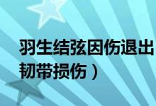 羽生结弦因伤退出NHK杯比赛（因右脚关节韧带损伤）