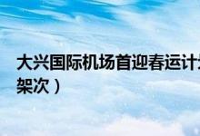 大兴国际机场首迎春运计划（大兴机场春运计划起降11200架次）