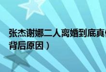 张杰谢娜二人离婚到底真假（张杰谢娜为什么离婚传言不断背后原因）