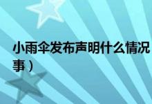 小雨伞发布声明什么情况（小雨伞保险董事长被夺权怎么回事）