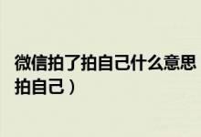 微信拍了拍自己什么意思（微信拍了拍自己怎么弄 微信拍了拍自己）