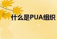 什么是PUA组织（pua男是什么意思）