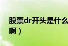 股票dr开头是什么意思（dr股票是什么意思啊）