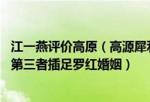 江一燕评价高原（高源犀利批评江一燕没作品,江一燕又被曝第三者插足罗红婚姻）