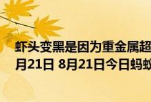 虾头变黑是因为重金属超标吗（蚂蚁庄园今日答案早知道8月21日 8月21日今日蚂蚁庄园答案最新）