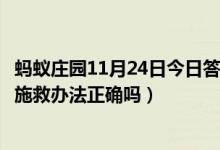 蚂蚁庄园11月24日今日答案大全（把溺水的人倒过来控水的施救办法正确吗）