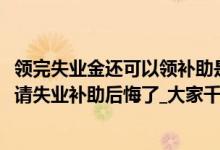 领完失业金还可以领补助是啥意思（失业金不领取的好处_申请失业补助后悔了_大家千万不要领失业补助金）