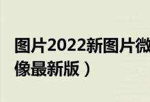 图片2022新图片微信头像（2022微信情侣头像最新版）