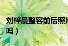 刘梓晨整容前后照片对比（刘梓晨真的整容了吗）