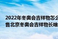 2022年冬奥会吉祥物怎么卖（北京2022年冬奥会吉祥物开售北京冬奥会吉祥物长啥样）