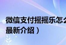 微信支付摇摇乐怎么用（微信支付摇摇乐玩法最新介绍）