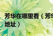 芳华在哪里看（芳华电影完整版手机在线观看地址）