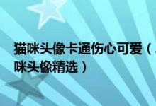 猫咪头像卡通伤心可爱（2020可爱猫咪头像高清_萌萌哒猫咪头像精选）