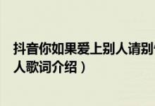 抖音你如果爱上别人请别告诉我是什么歌（如果你爱上了别人歌词介绍）