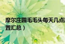 摩尔庄园毛毛头每天几点刷新（摩尔庄园毛毛头每日刷新位置汇总）