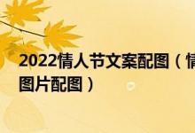 2022情人节文案配图（情人节朋友圈配图文字 情人节文案图片配图）