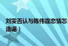 刘雯否认与陈伟霆恋情怎么回事（陈伟霆刘雯恋情被装修工造谣）