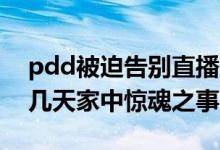 pdd被迫告别直播（震惊！PDD直播讲述前几天家中惊魂之事！）