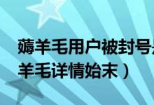 薅羊毛用户被封号是怎么回事（B站路人A薅羊毛详情始末）