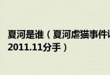 夏河是谁（夏河虐猫事件证据全梳理【图】 曾和洛洛相恋于2011.11分手）