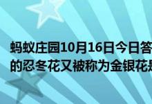 蚂蚁庄园10月16日今日答案大全（自古被誉为清热解毒良药的忍冬花又被称为金银花是因为）