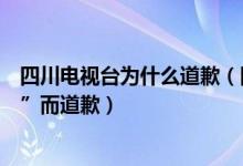 四川电视台为什么道歉（四川电视台为“暗访出现不雅一幕”而道歉）