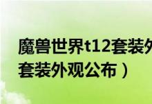 魔兽世界t12套装外观（魔兽世界大灾变T11套装外观公布）