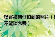 杨幂被狗仔拍到的照片（杨幂新恋情曝光被骂:离婚的女人就不能谈恋爱）