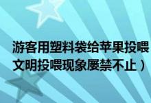 游客用塑料袋给苹果投喂（游客用裹塑料袋苹果投喂大象不文明投喂现象屡禁不止）