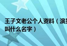 王子文老公个人资料（演员王子文的老公是谁 王子文的老公叫什么名字）