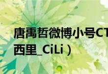 唐禹哲微博小号CT命定曝光（疑似恋上网红西里_CiLi）