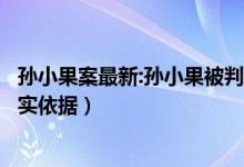 孙小果案最新:孙小果被判死刑（云南高院列出孙小果犯罪事实依据）